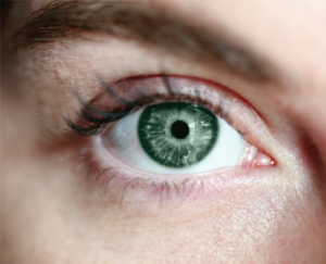 11_muestra_color_verde_saturado_photoshop_joseluisarmentia.com-pixel16