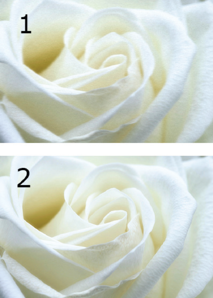 diferencia-nitidez-resolucion-impresion-rosa_joseluisarmentia.com-pixel16