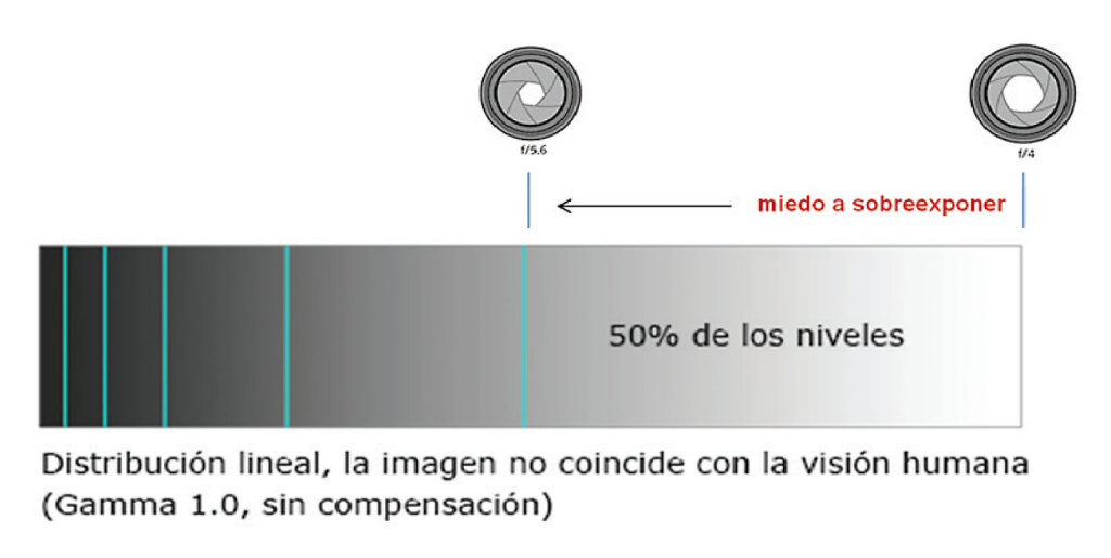 distribucion-lineal-niveles-exposicion_joseluisarmentia.com-pixel16