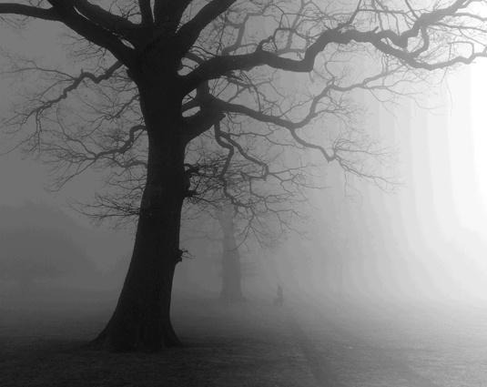 ejemplo-visual-banding-fotografia-niebla_joseluisarmentia.com-pixel16